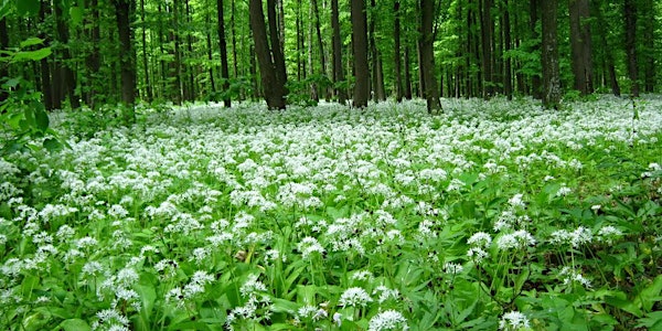 LIVING FOOD. Food that revitalises the body and nourishes the earth