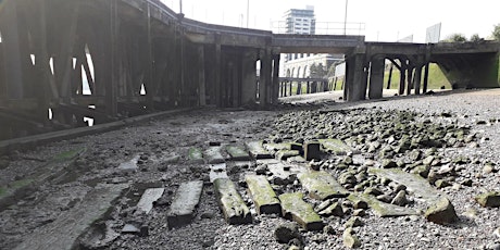 Thames Foreshore Archaeology Guided Walk: Deptford tickets