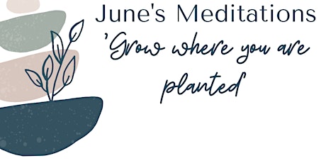 'Grow Where You Are Planted' June's Meditation Circle primary image
