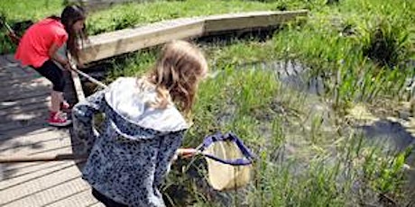 Family Pond Dipping Workshop (morning) tickets