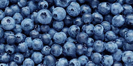 Developing a Boost of Blue: Selecting the Right Blueberry Ingredients