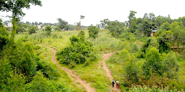 Uganda Forest Landscape Restoration Study Tour