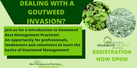 Goutweed Best Management Practices Workshop