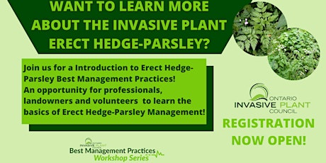 Erect Hedge-Parsley Best Management Practices Workshop primary image