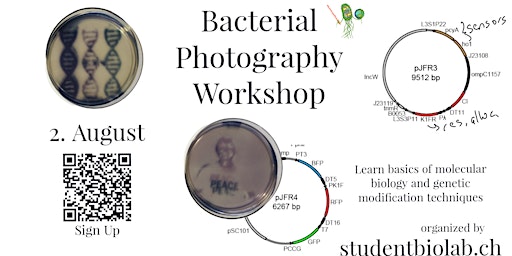 Bacterial Photography Workshop