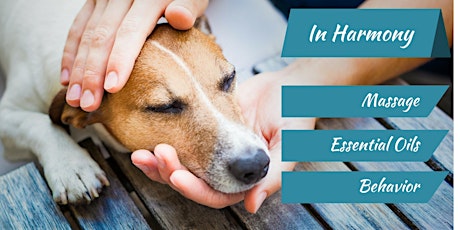 In Harmony- Canine Massage, Essential Oils & Behavior primary image