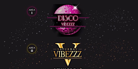 Disco Vibezzz -  Saturday Vibezzz tickets