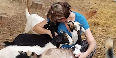 Summer weekends are for Baby Goat Playdates & Cuddle sessions