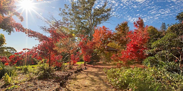 Open Gardens at Mount Wilson