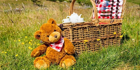 Imagem principal de Teddy Bears Picnic & Teddy hunt, then teddies parachute off the tower