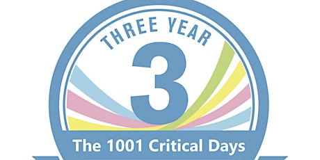 1001 Critical Days - Implementation Review in Northamptonshire primary image