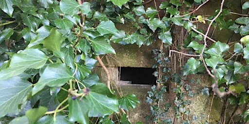 Walk Tonbridge Festival - A Pillbox Hike with Clive Holden