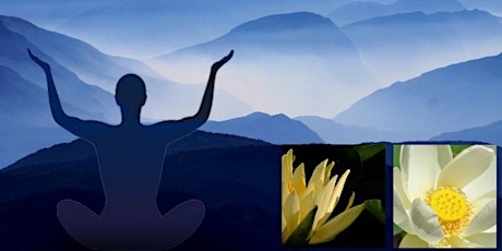 FREE EVENT: Chi Kung Meditation & Practice w/Renate Geier primary image