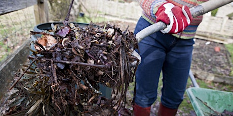 Composting and worm farming primary image