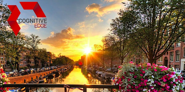 Cynefin & Complexity Foundations - Amsterdam, Netherlands: Room Mate Aitana...