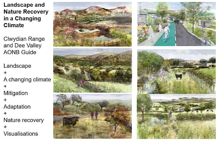LI Wales: The Landscape Profession and Nature Recovery in Wales image