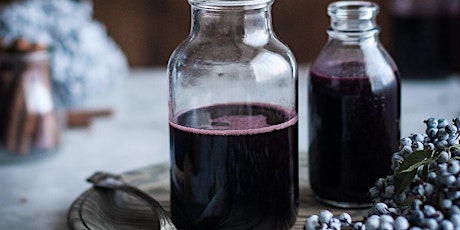 Stay Well with Elderberry Syrup primary image