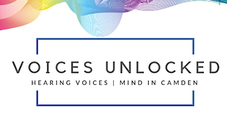 Voices Unlocked Network Meeting