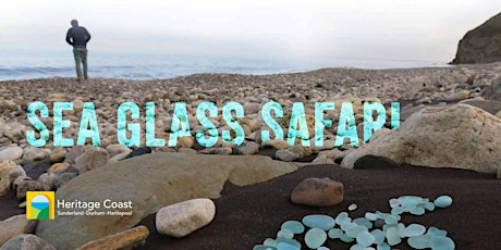 Sea Glass Safari 2018 primary image