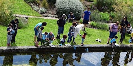 Pond-dipping @ East End Canal Festival tickets