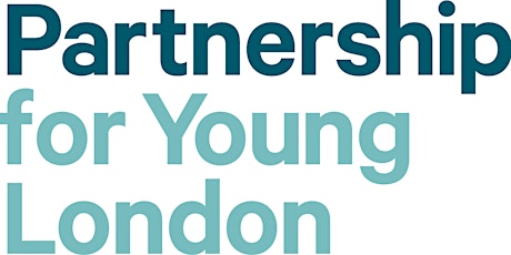Networking Event  - Best Practice in Work with Boys and Young Men primary image