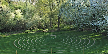 Labyrinth Exploration and Yoga primary image