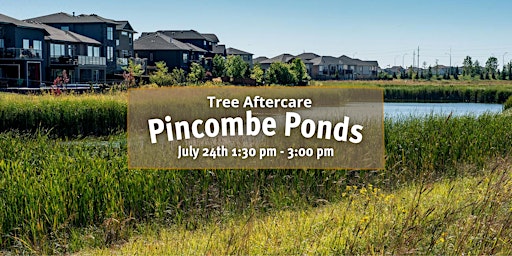 Pincombe Ponds Tree Aftercare July 24