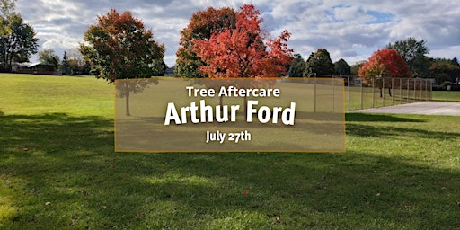Arthur Ford Park Tree Aftercare July 27
