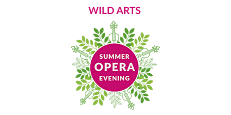 Summer Opera Evening