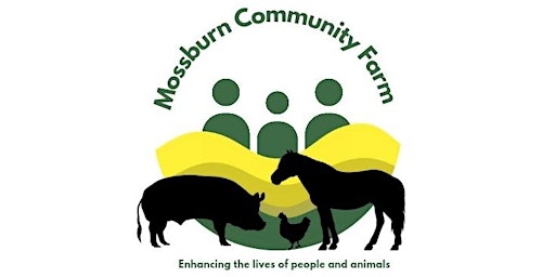 Summer Holiday Session at Mossburn Community Farm