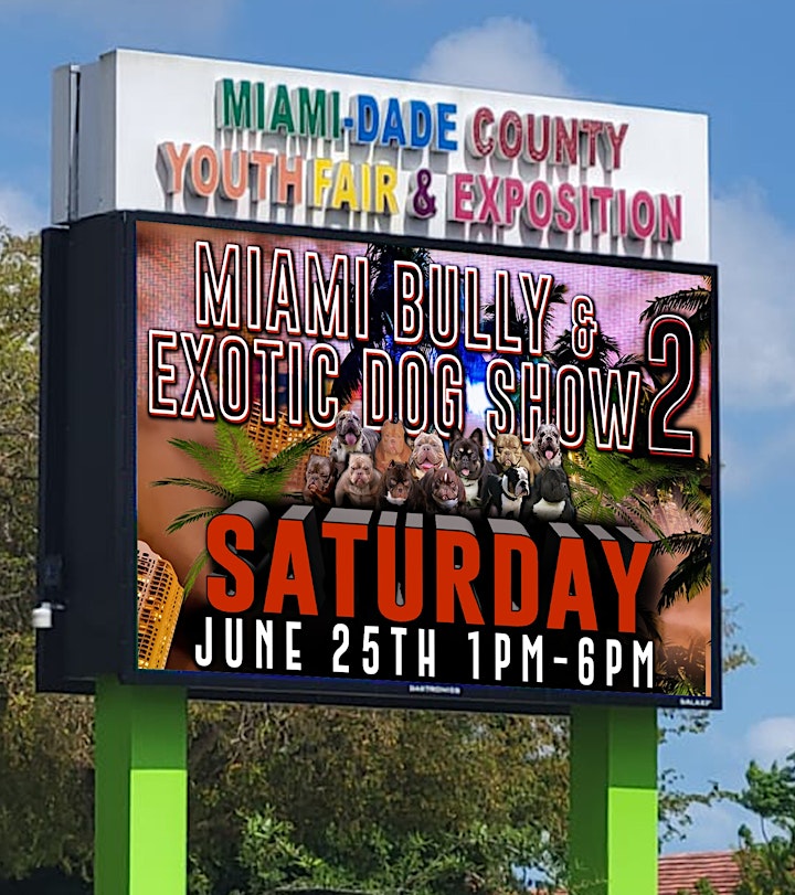 Miami Bully & Exotic Dog Show 2 image