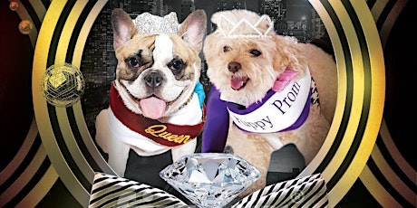 Puppy Prom - Diamonds and Bow Ties primary image