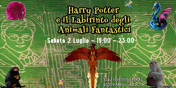 Harry Potter e il Labirinto degli Animali Fantastici  - Sab 2 Luglio