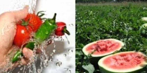 Building Your Own Farm's Food Safety Manual Workshop