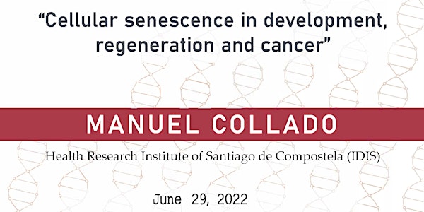 Cellular senescence in development, regeneration and cancer