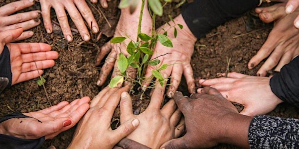 NorCal Community Resilience Circle of Collaborators Launch