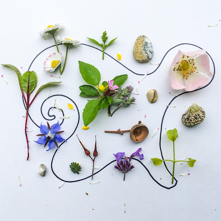 Nature Craft - online creative workshops for wellbeing image
