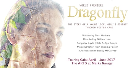 Dragonfly: The Story of a Young Local Girl's Journey Through Foster Care primary image