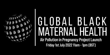 Air Pollution in Pregnancy Project Launch tickets