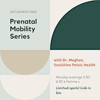 Prenatal Mobility Series (Individual class)