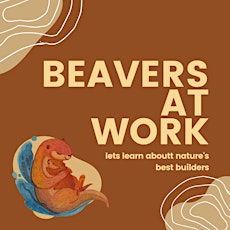 Beavers at Work: Provided by the Denison Pequotsepos Nature Center for grad tickets