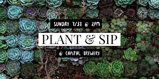 Plant & Sip | Succulent Bar