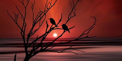 Pour & Paint Birds a Sunset