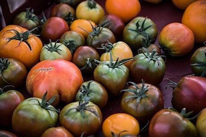 11th Annual Palmetto Tasty Tomato Festival image