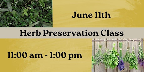 Herb Preservation Class