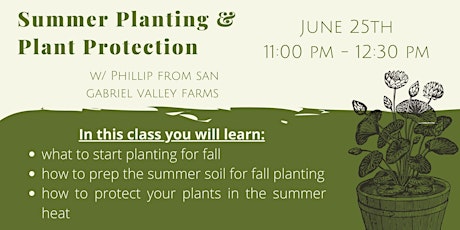 Summer Planting & Plant Protection