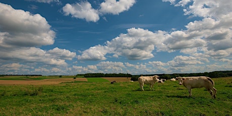 Primaire afbeelding van Trektocht in de Condroz