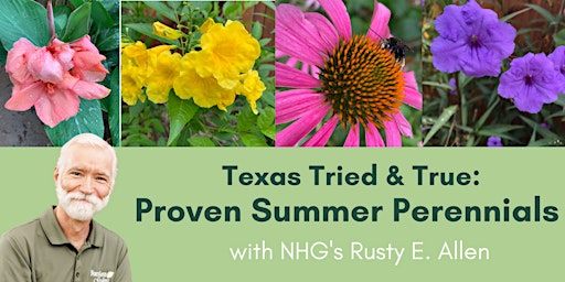 The Texas Tried & True: Proven Perennials for Summer