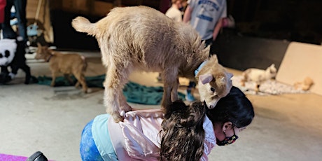 BABY GOAT YOGA: Kids class (5-10) primary image