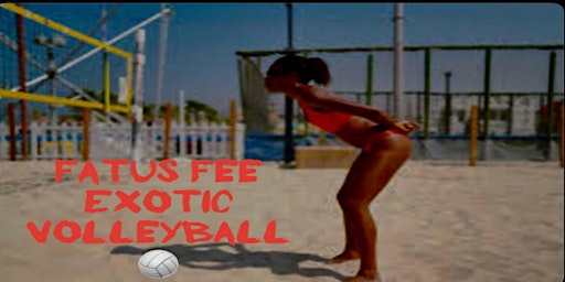 Fatus Fee Exotic Volleyball